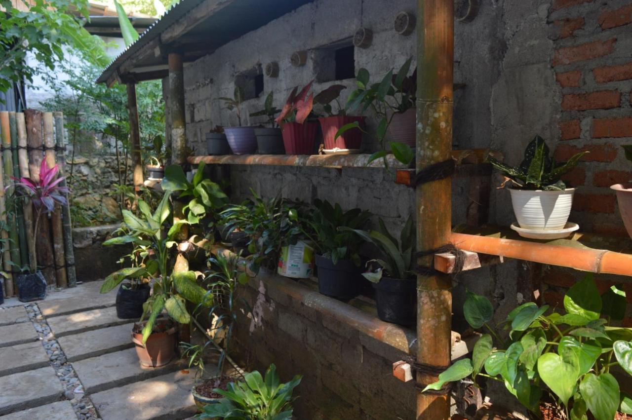 Labuan Bajo Mahoni Guesthouse Exterior photo